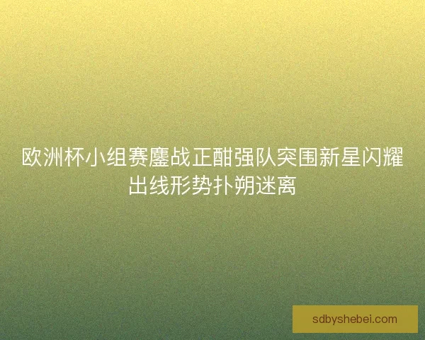 欧洲杯小组赛鏖战正酣强队突围新星闪耀出线形势扑朔迷离